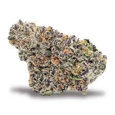 Gelato