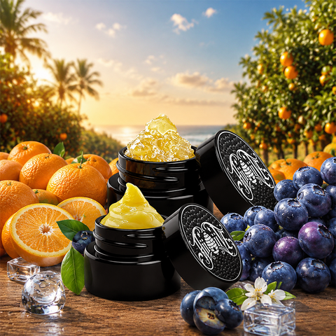 Carnival Starter Bundle