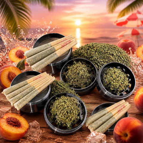 Shake 28G Bundle