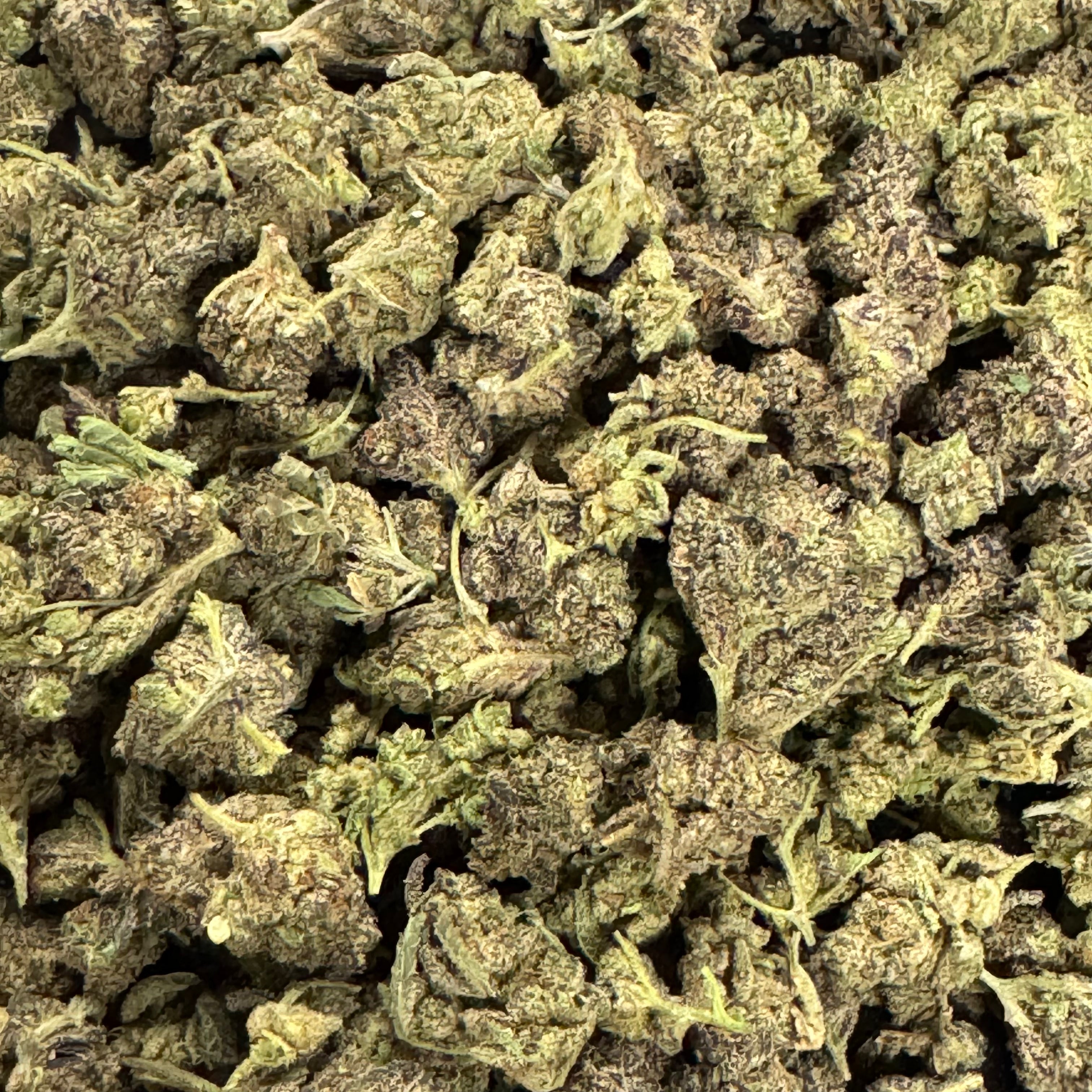 Lucky 3 Special Kit - Buy 14G Get 42G