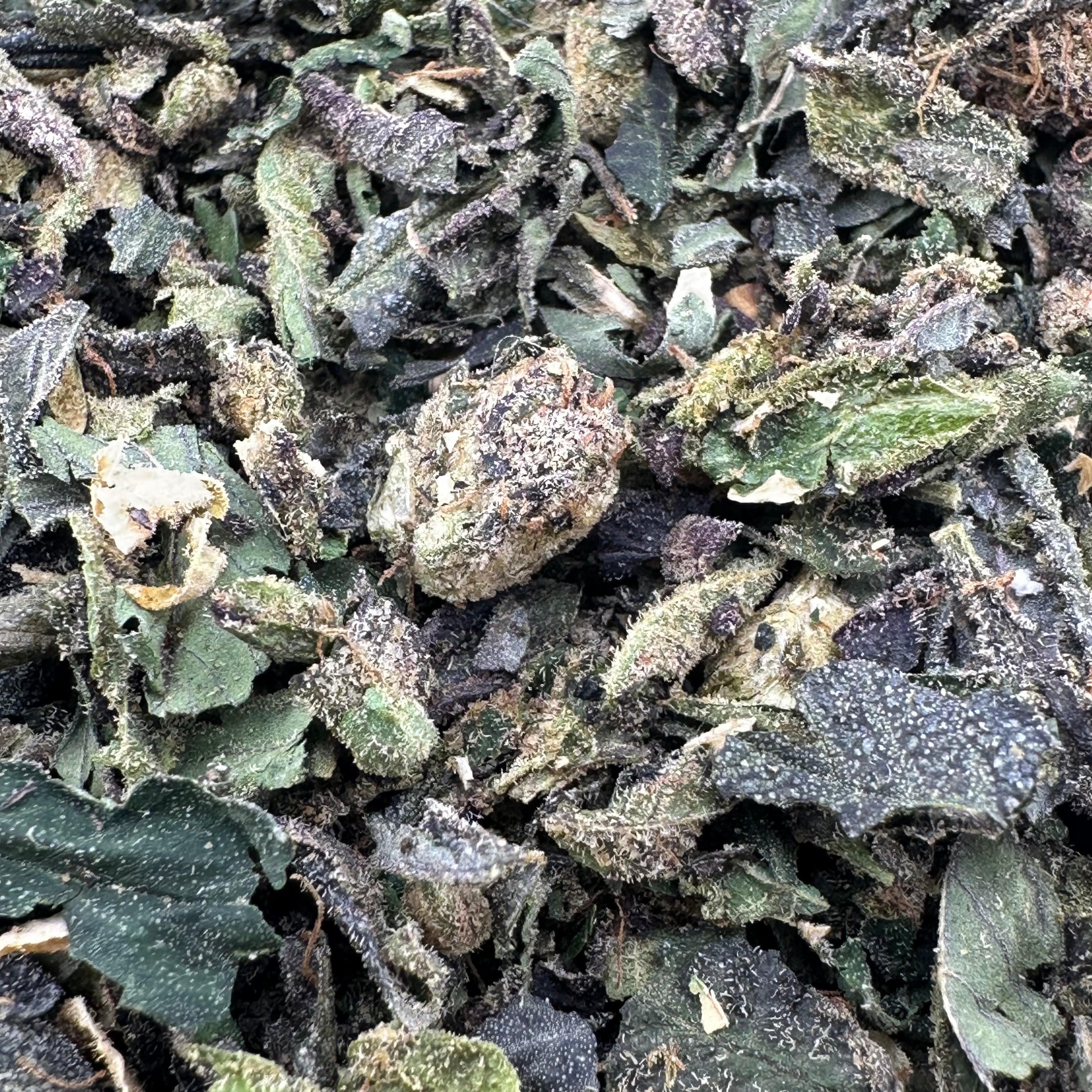 RS11 Shake Wholesale