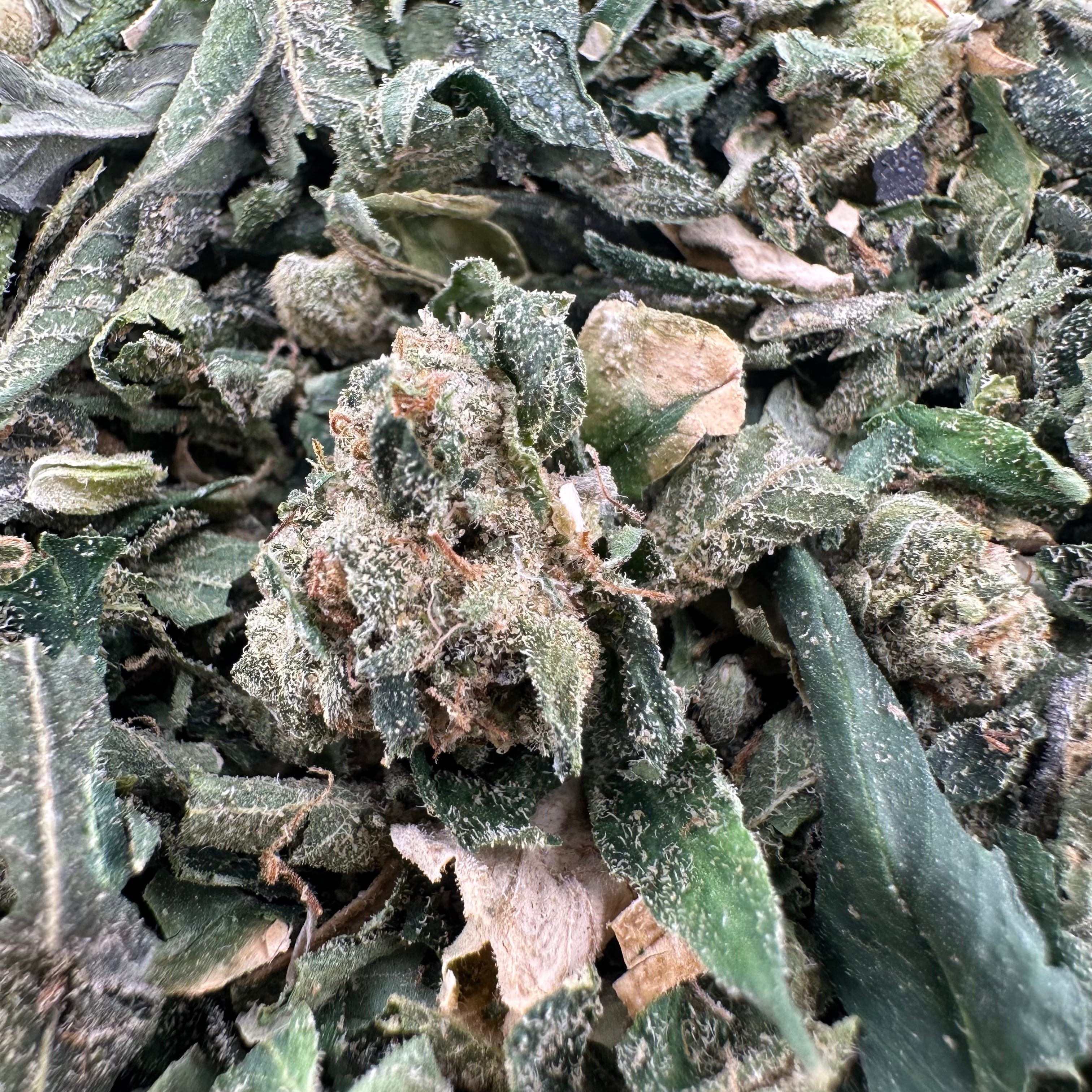 Cali Kush Shake Wholesale