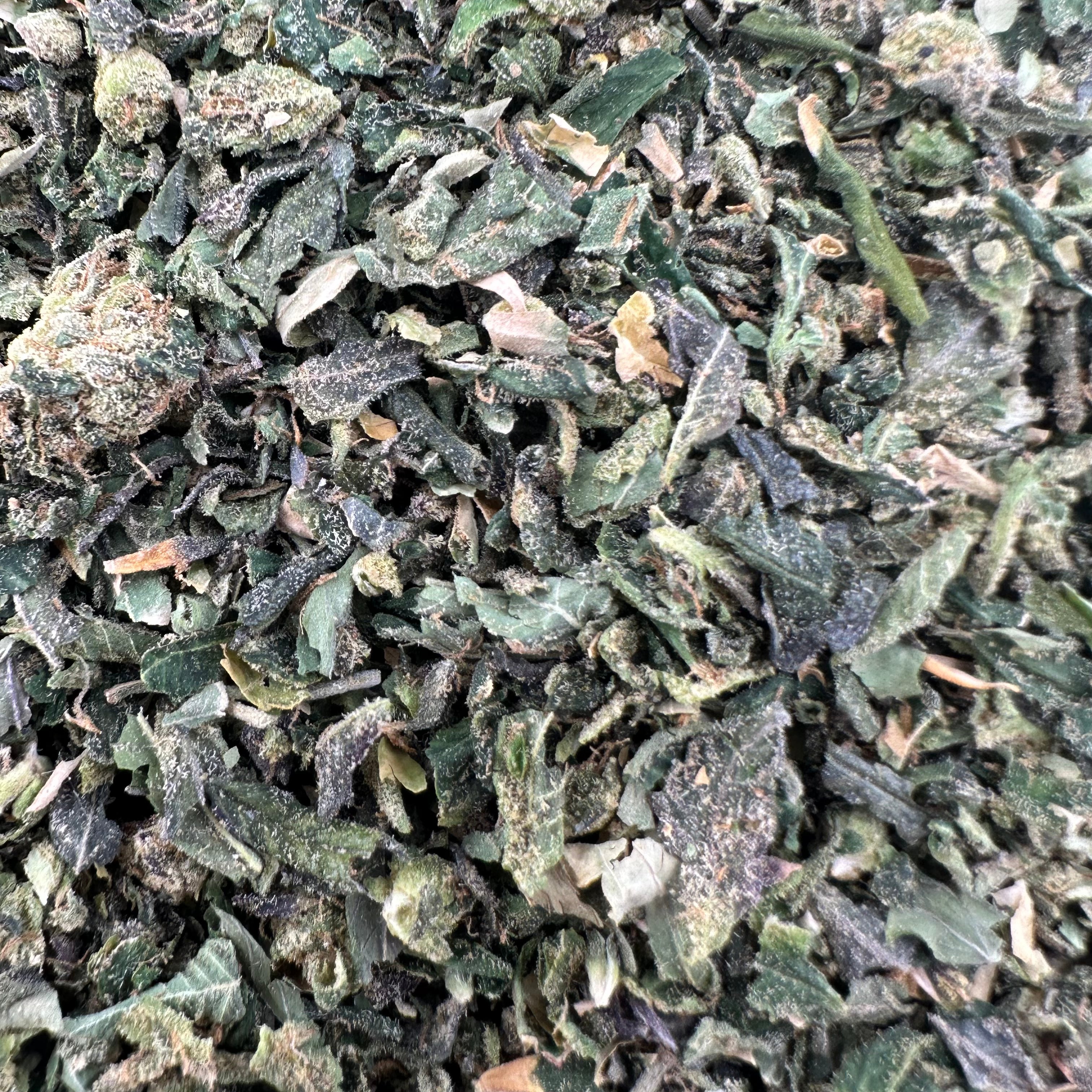 Lemon Cherry Runtz Shake Wholesale