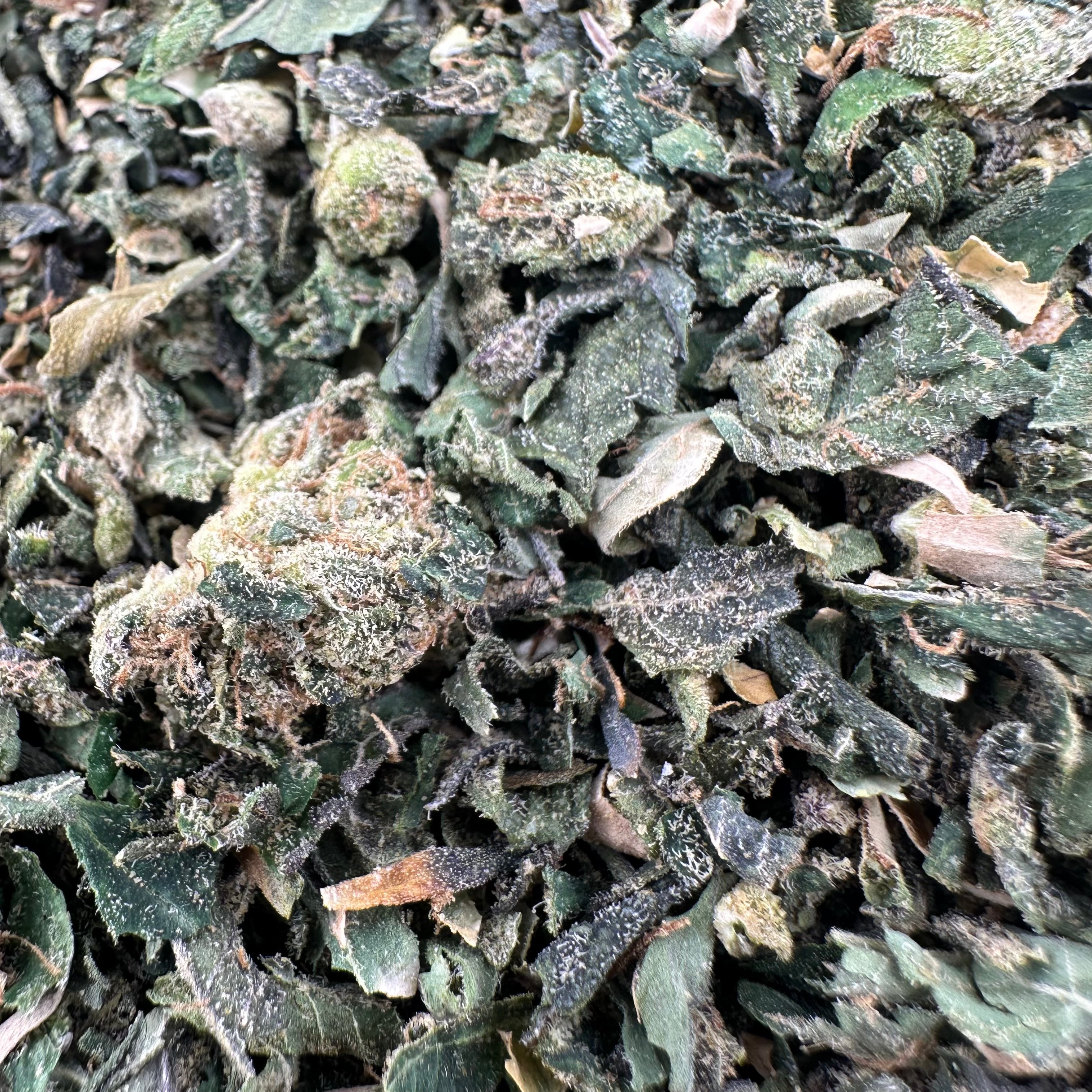 Lemon Cherry Runtz Shake Wholesale