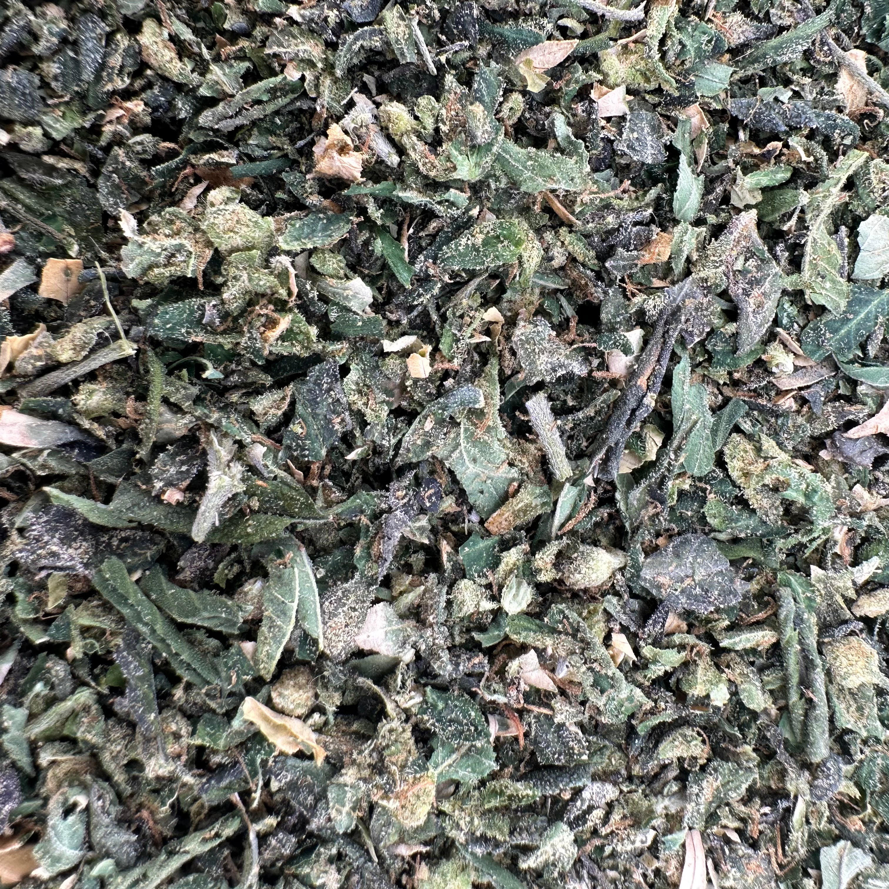 Orange 43 Shake Wholesale