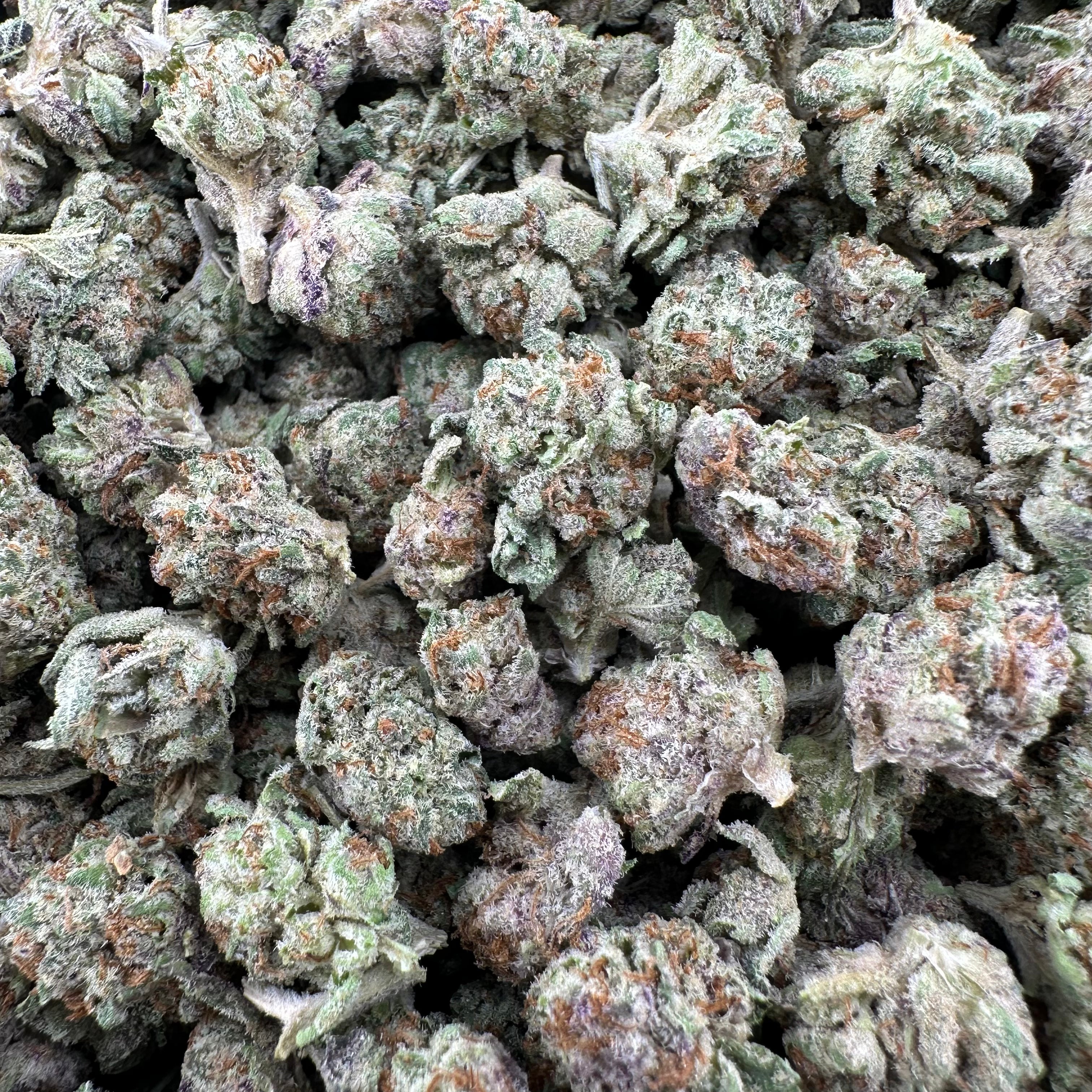 Girl Scout Cookies Smalls