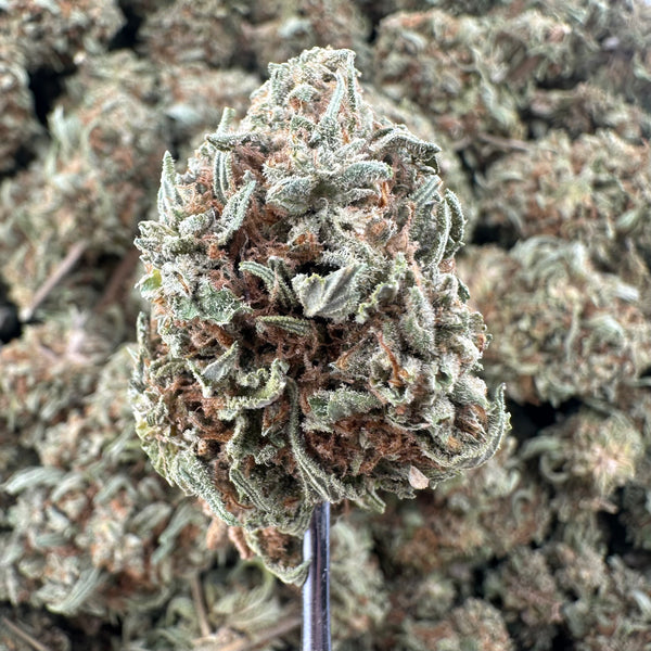 (BOGO)Thai Stick 14G Flower - Garden II