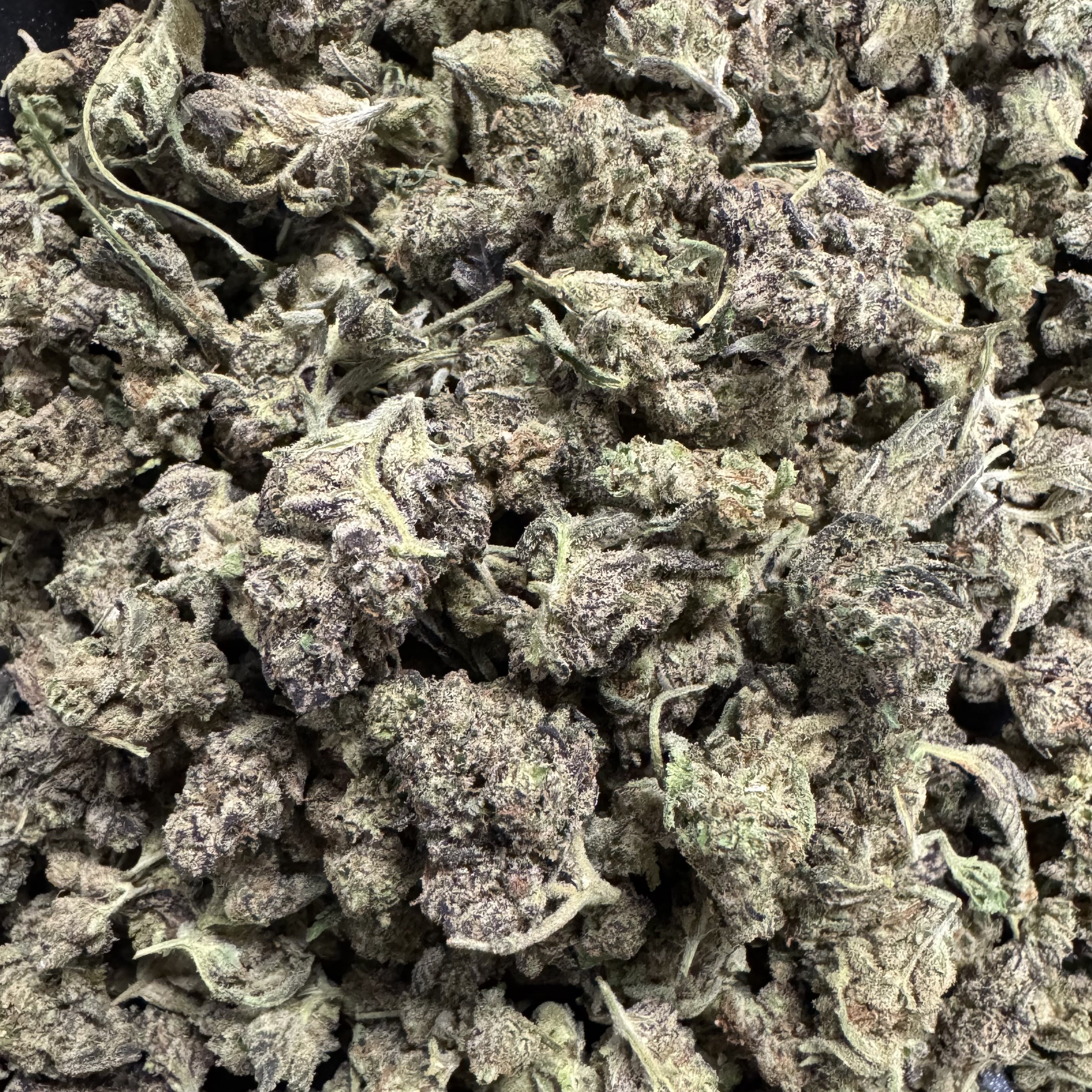(BOGO)RS11 14G Smalls - Garden II
