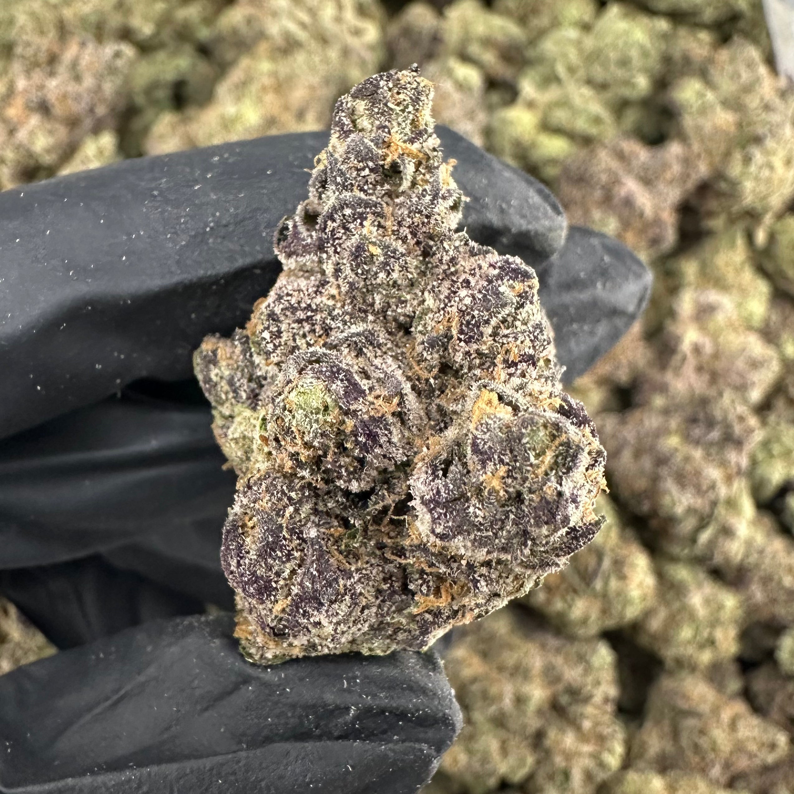 Sour Diesel Flower Wholesale