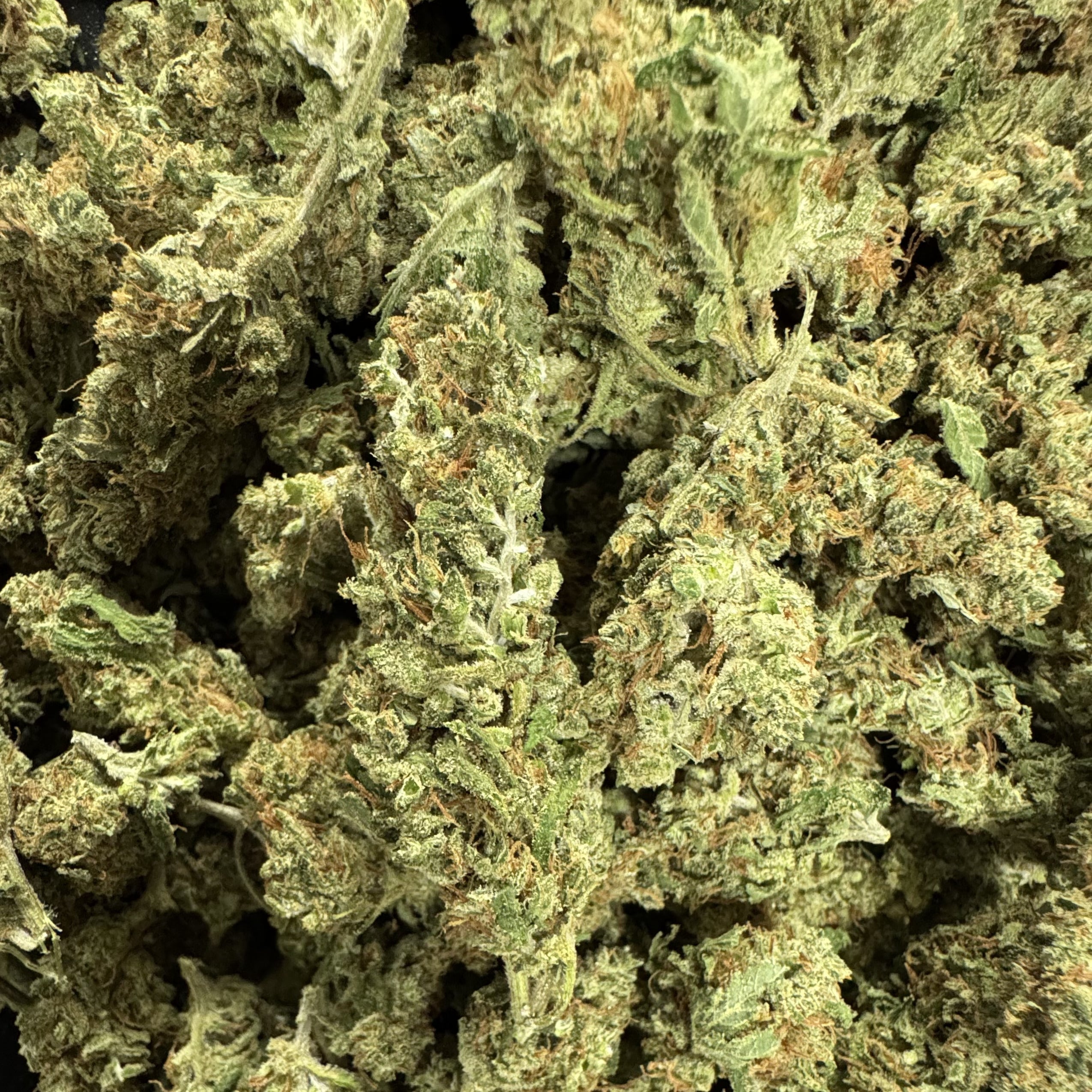 (BOGO)Trainwreck 14G Flower - Garden II