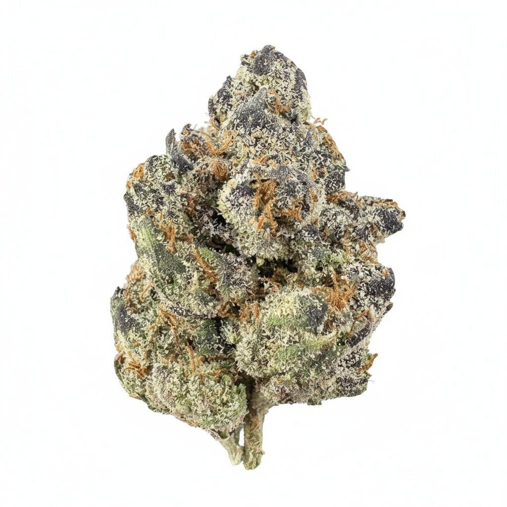 Apple Fritter Flower Wholesale