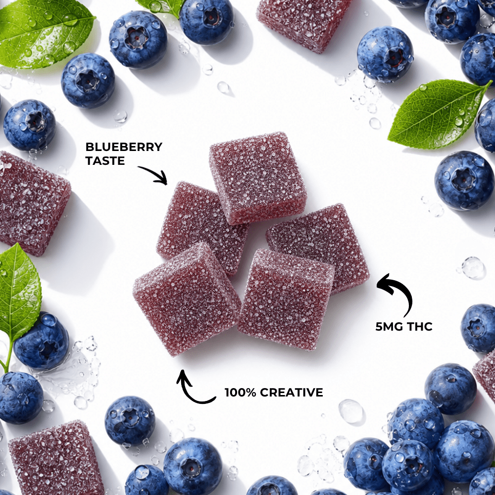 Blueberry 5mg Gummies