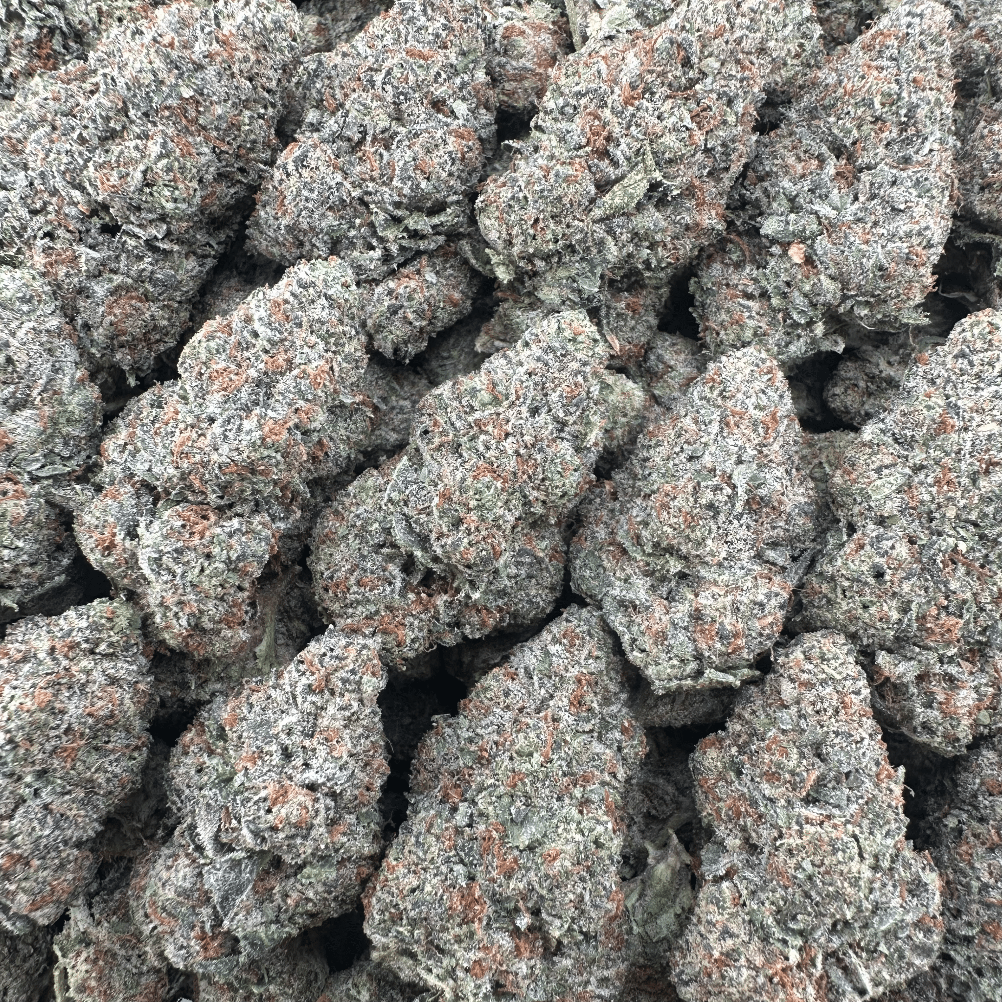 Cali Gas