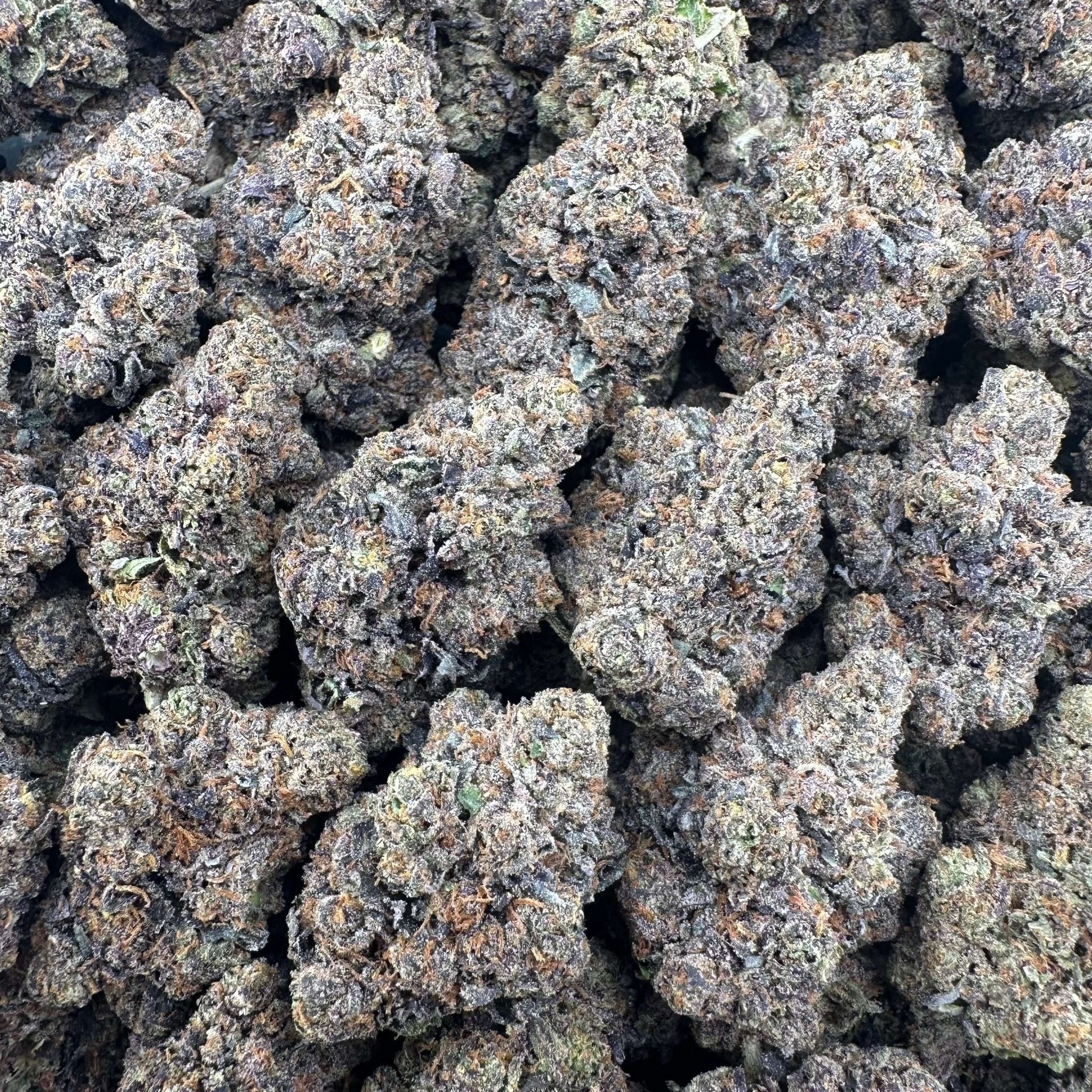 Crunch Berries Wholesale