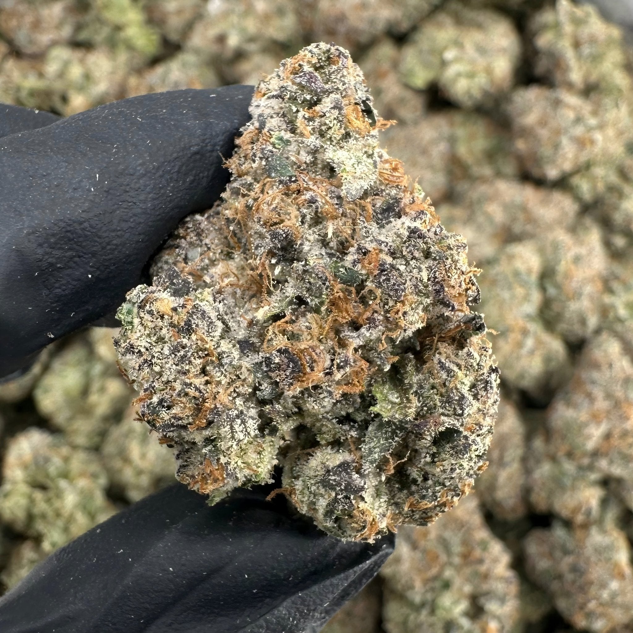 Girl Scout Cookies Flower