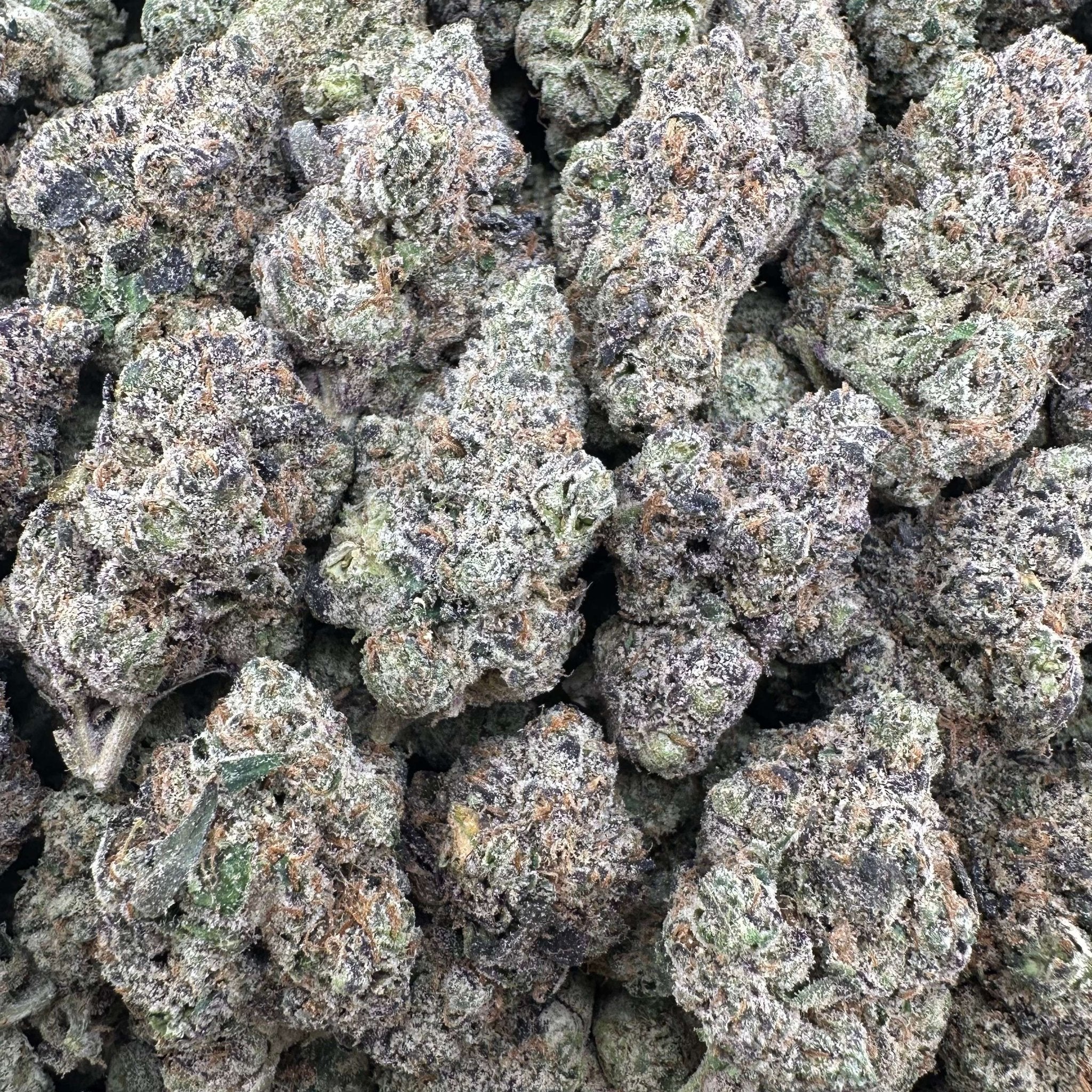 Granddaddy Purple