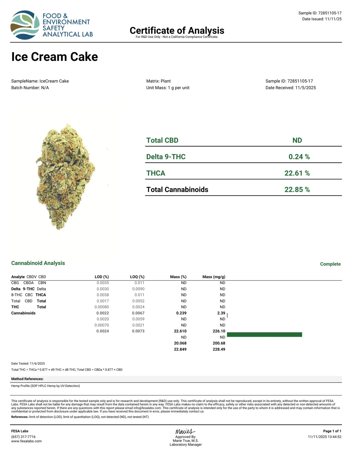 (BOGO)Ice Cream Cake 14G Flower - Garden II