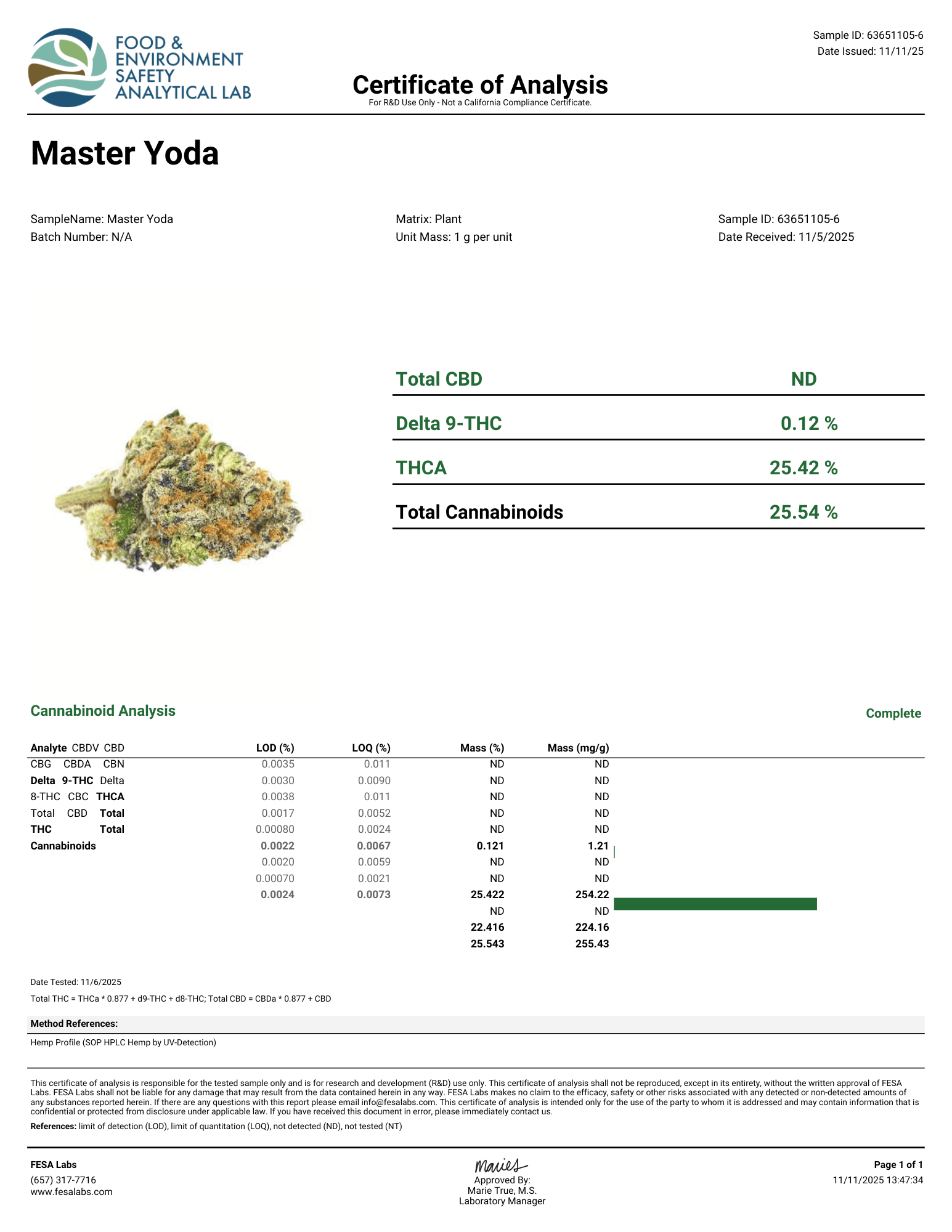Master Yoda Flower Wholesale
