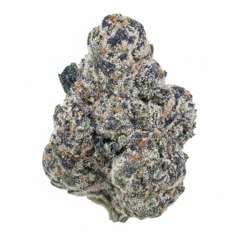 Panama Red Flower Wholesale