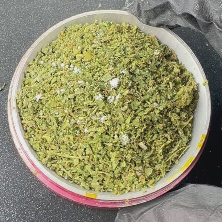 Garden I - Ice Cream Cake Infused Shake (BOGO)