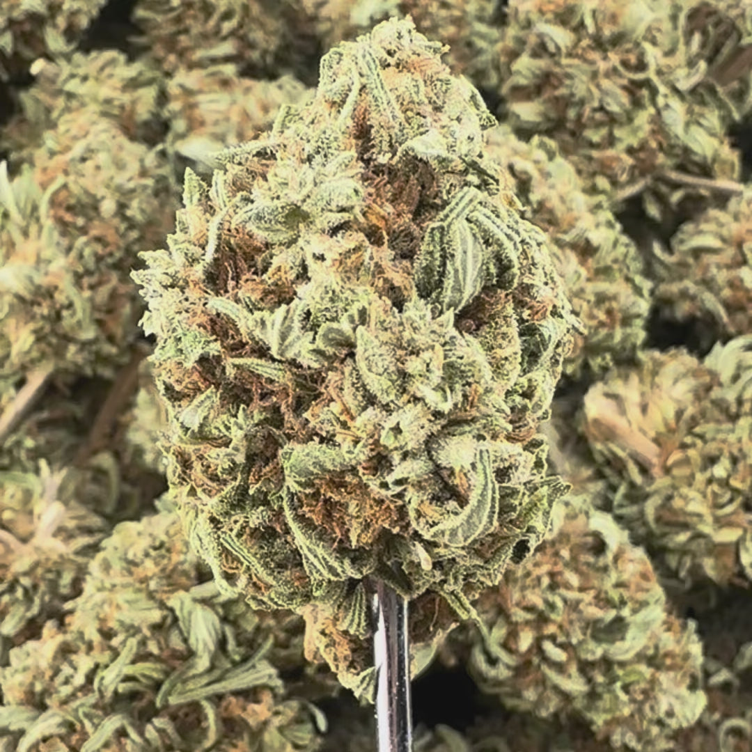 (BOGO)Thai Stick 14G Flower - Garden II