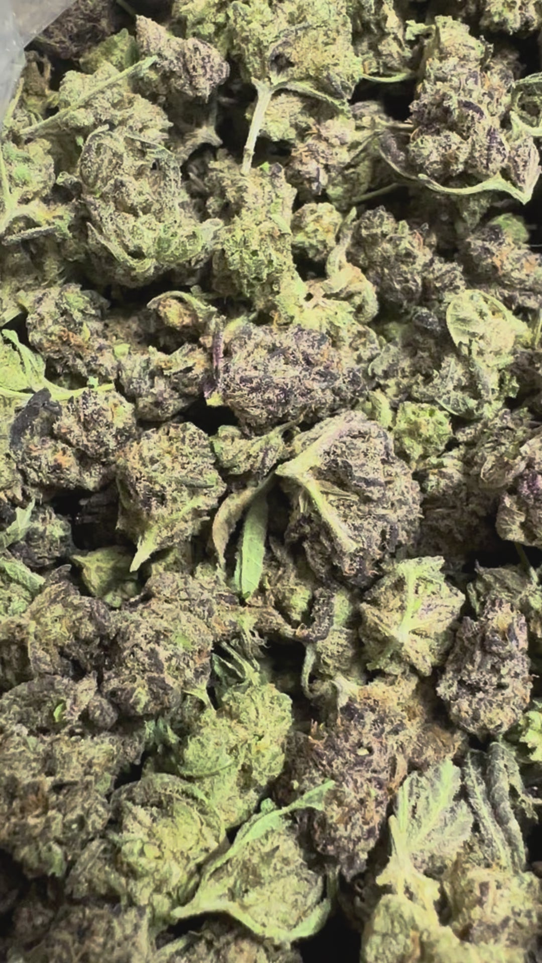 (BOGO)Cali Kush 14G Smalls - Garden II