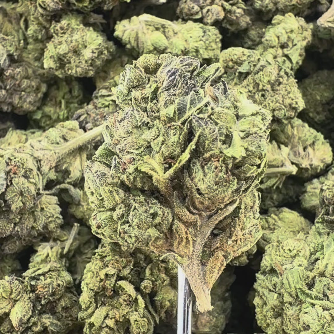 (BOGO)Ice Cream Cake 14G Flower - Garden II
