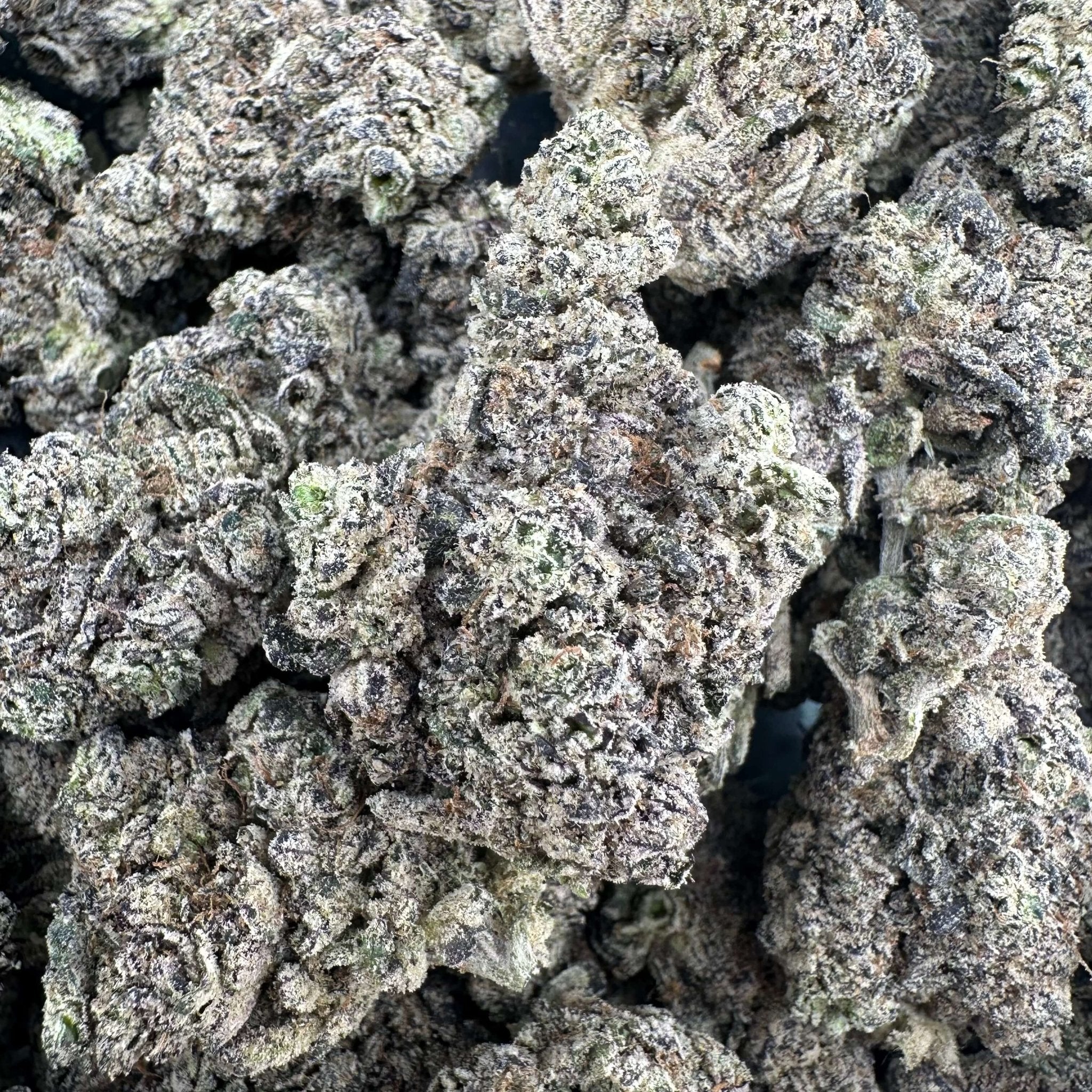 Purple Push Pop Wholesale
