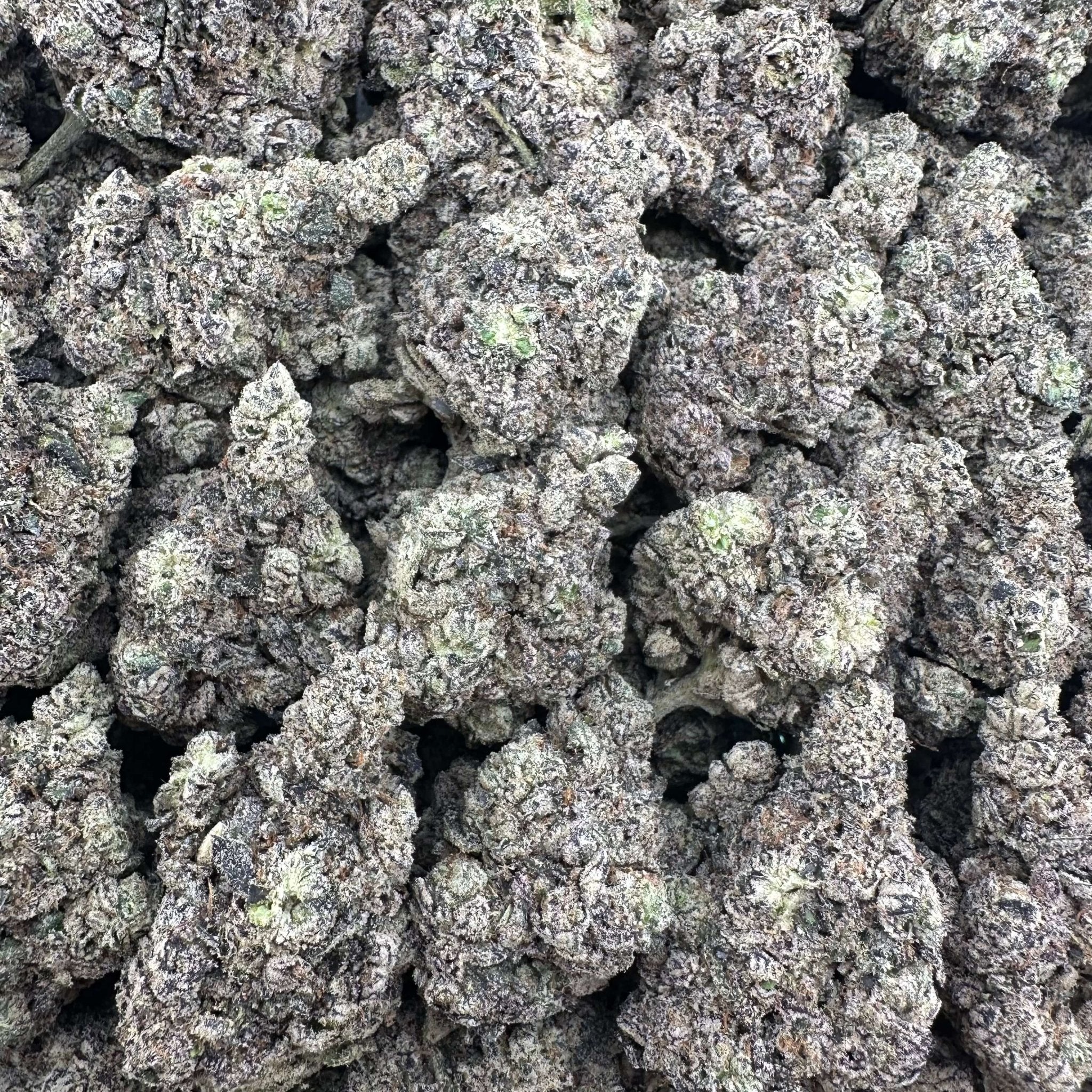 Purple Push Pop Wholesale